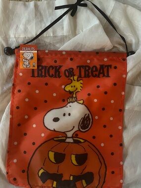 Peanuts Orange Snoopy & Woodstock Halloween Trick or Treat Wall Banner